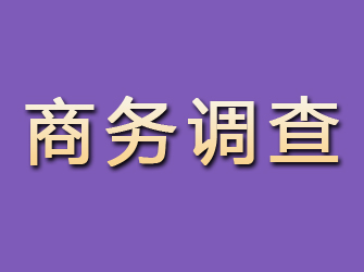 芜湖商务调查